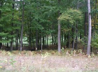 9615 Aberdeen Ct #29, Canadian Lakes, MI