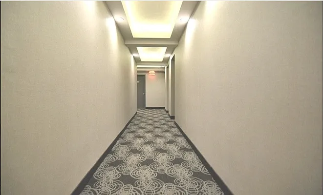 Rented by Douglas Elliman | media 7