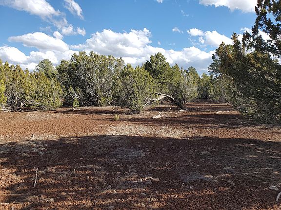 5th image of 54 County Road 3114