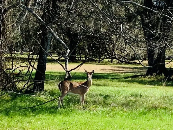 101 Trailblazer Dr, Angleton, TX 77515