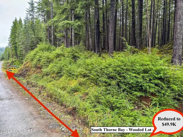 Lot10b18 Steep Rd, Thorne Bay, AK 99919