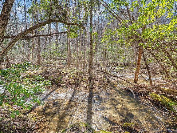 55th image of 740 Little Rock Creek Rd
