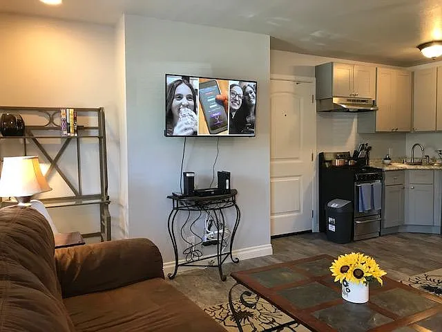 Fully Furnished one bedroom (Living room and kitchen)
