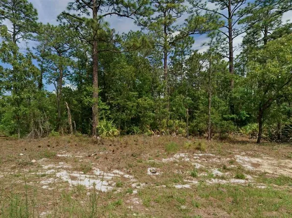 6977 N Foxdale Dr Lot 46, Dunnellon, FL 34434