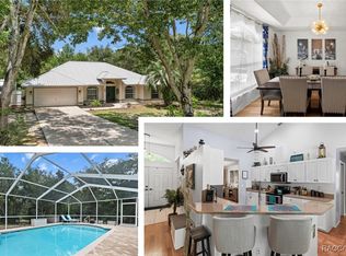 751 E Reehill St, Lecanto, FL 34461