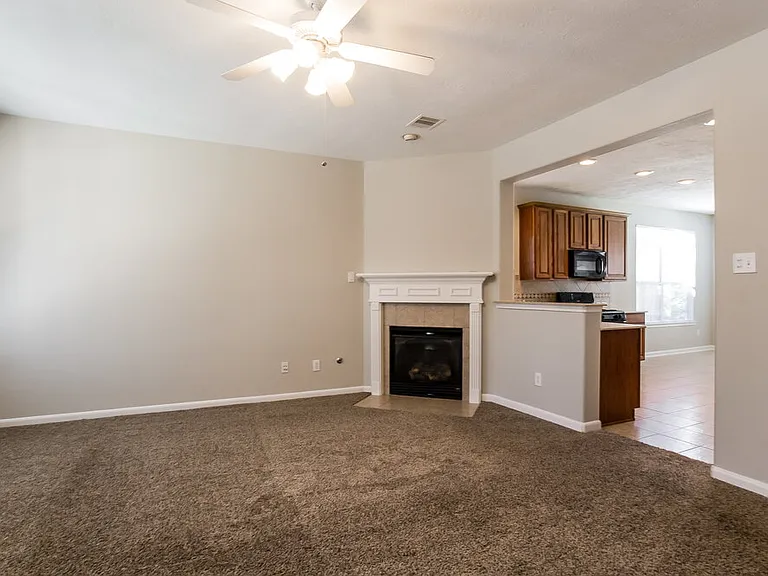17251 Mitchell Pass Ln — Photo 2