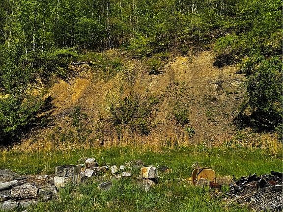 5th image of 38 Osborne Dr