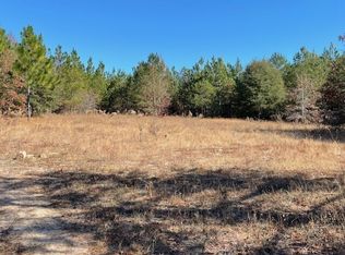 0 Pineville Rd, Buena Vista, GA 31803