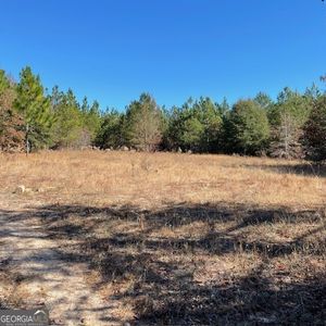 0 Pineville Rd, Buena Vista, GA, 31803