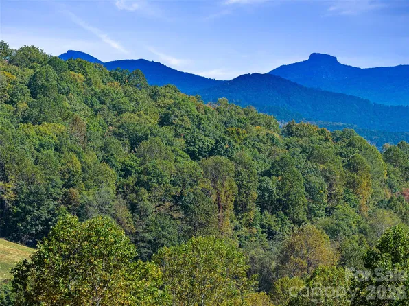 Chestnut Grove Rd, Spruce Pine, NC 28777