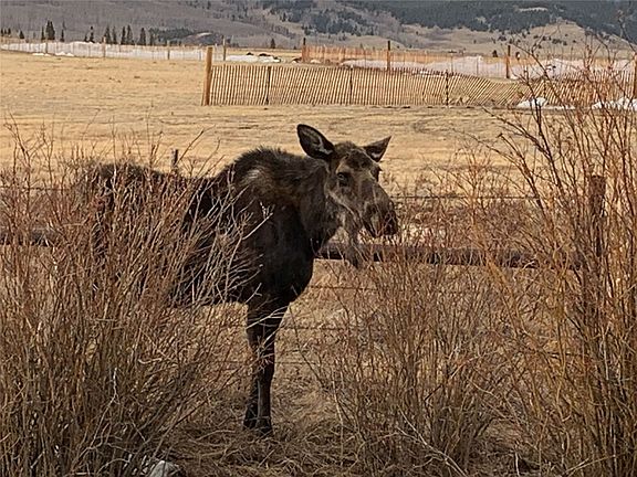 2nd image of 0 Michigan Hill Rd