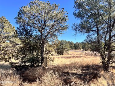 7277 Daisy Dr, Williams, AZ, 86046