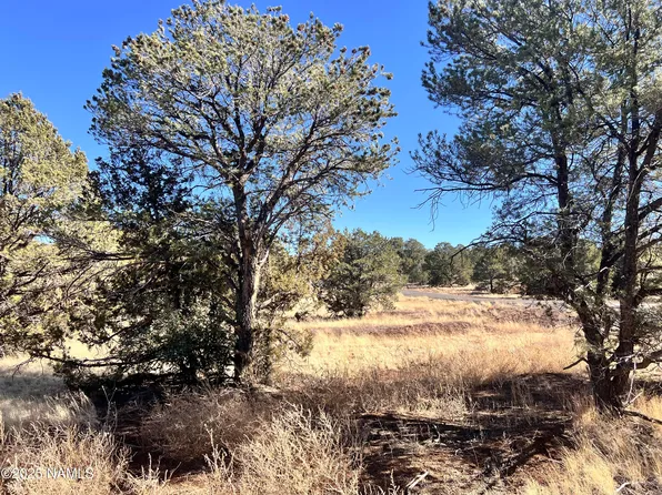 7277 Daisy Dr, Williams, AZ 86046