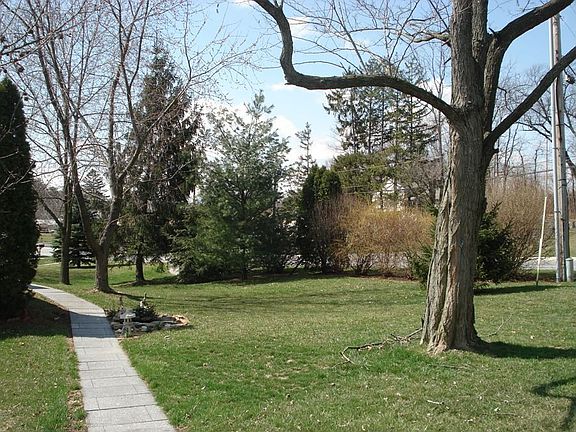 Front yard