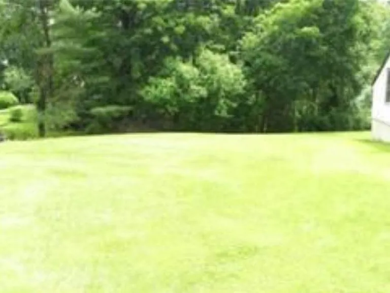 55 Catalpa Rd — Photo 5