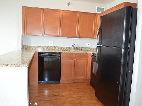 5th image of 474 N Lake Shore Dr #226