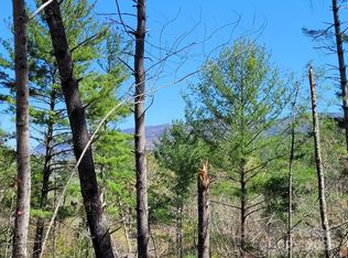 167 Fox Ridge Trl, Marion, NC 28752