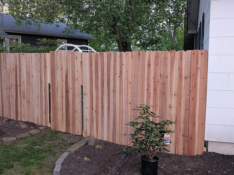 Evelyn Dr — Photo 11