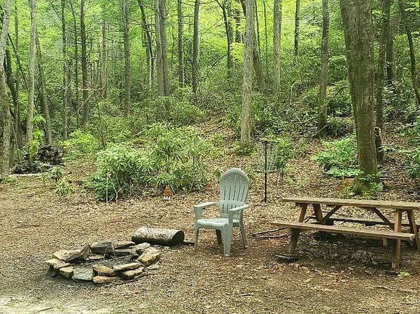 51 Bird Creek Estates Rd, Black Mountain, NC 28711