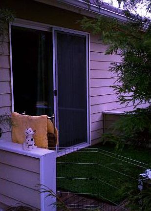 Back Patio