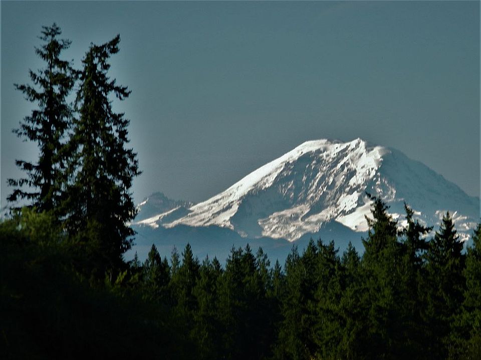 Our Mt. Rainier view!!