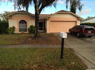 1118 Bloom Hill Ave, Valrico, FL 33596