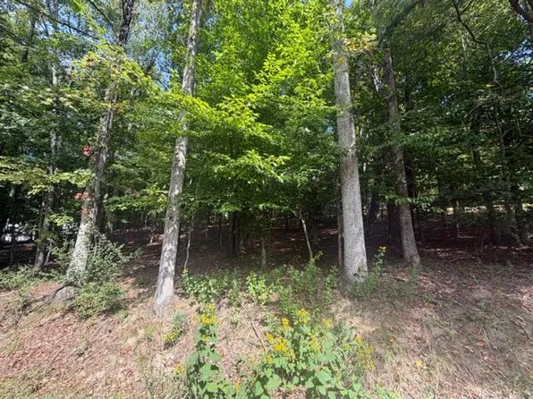 0 Tinker Mill Rd, Daleville, VA 24083