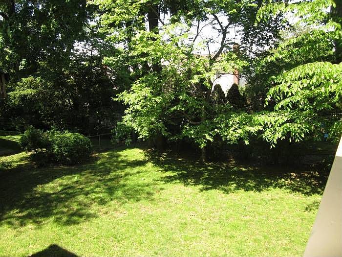 LARGE YARD