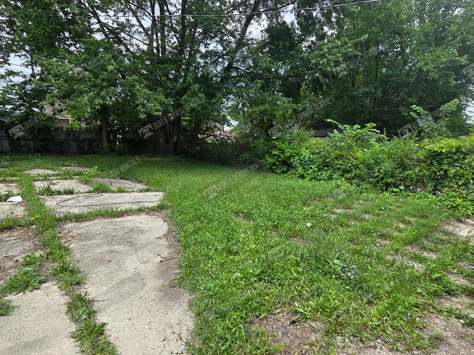 House - Bungalow — Photo 3