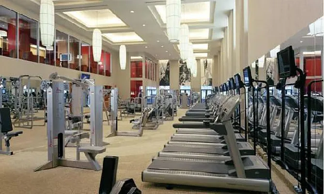 Rented by Level Group | media 29