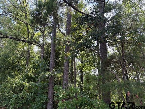 4th image of 1395 County Road 3405