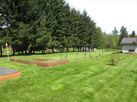 berries grape vines and field west side of house