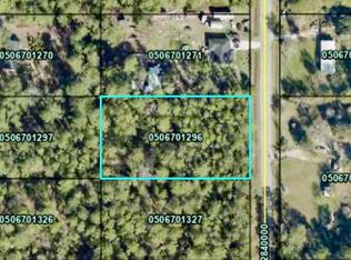 10515 Allison Ave, Hastings, FL 32145