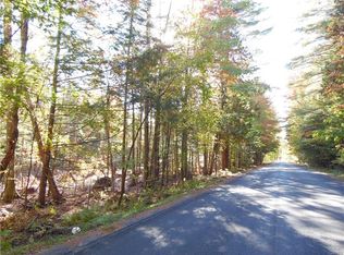 Lot #5 Austin Rd, Watson, NY 13343