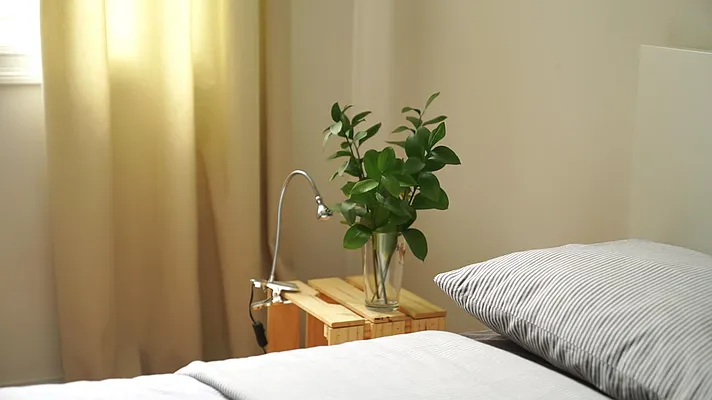 Rented by Verus Real Estate | media 21