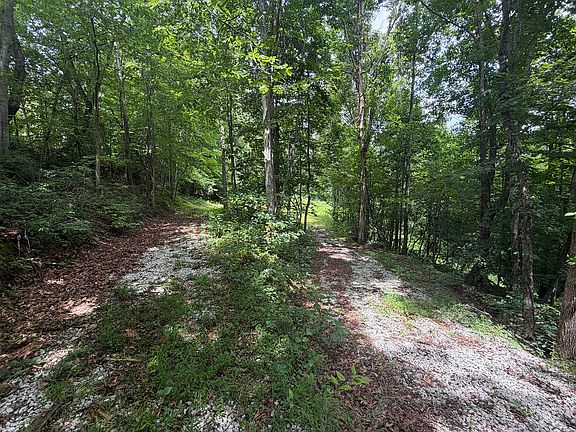 5th image of 4813 Brammer Hill Ridge Rd