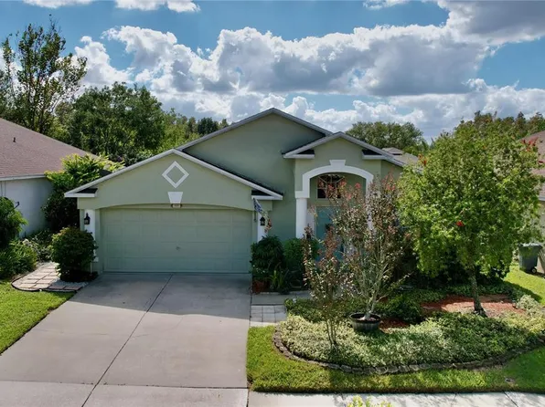 25237 Seven Rivers Cir, Land O Lakes, FL 34639