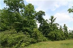 1st image of 355 Waterstone Ct