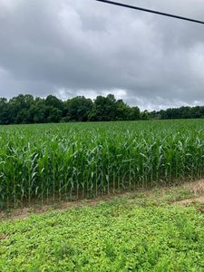 12592 Northumberland Hwy, Heathsville, VA, 22473