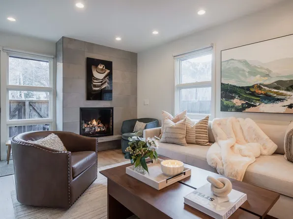 800 E Hyman Ave #Id1337534p, Aspen, CO 81611