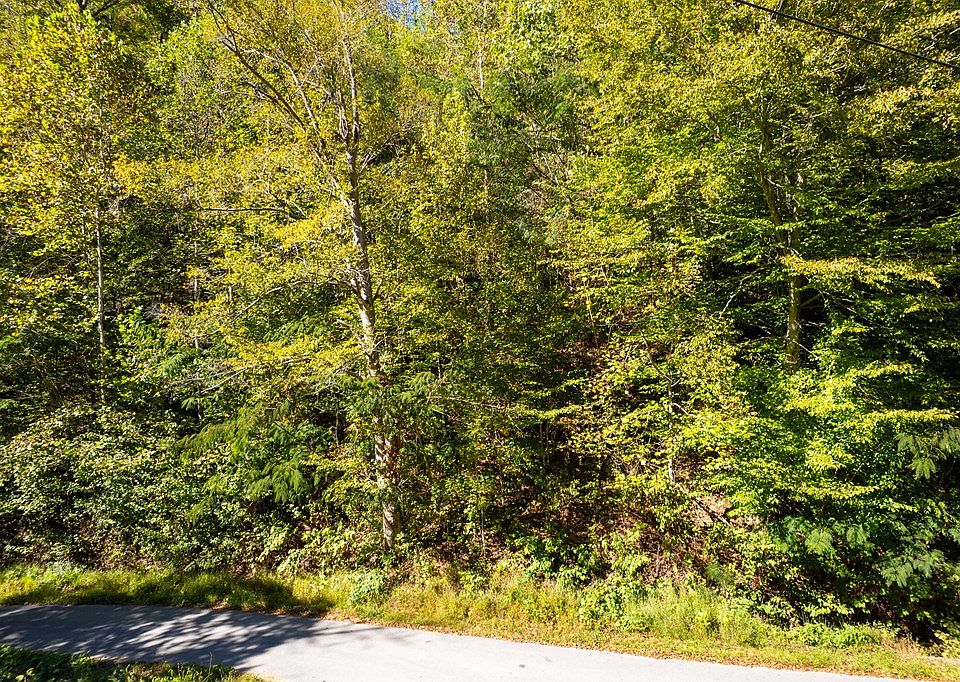 2nd image of 0 Jimmies Creek Rd