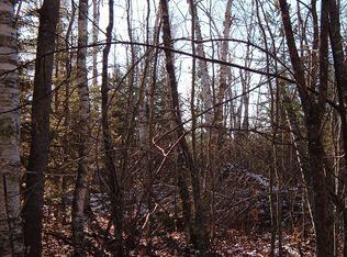 South Of Mn Hwy #1 - East Of Rodgers Road, Eagles Nest Township, MN 55731