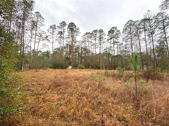 4th image of 23469 Tarpon Springs Dr