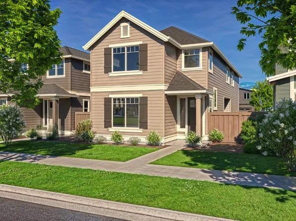 The Conifer - Collina Plan, Collina