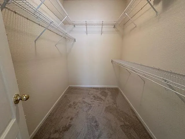 2565 Kentucky Derby Dr — Photo 28