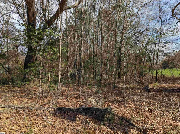 0 Holland Ford Rd, Pelzer, SC 29669