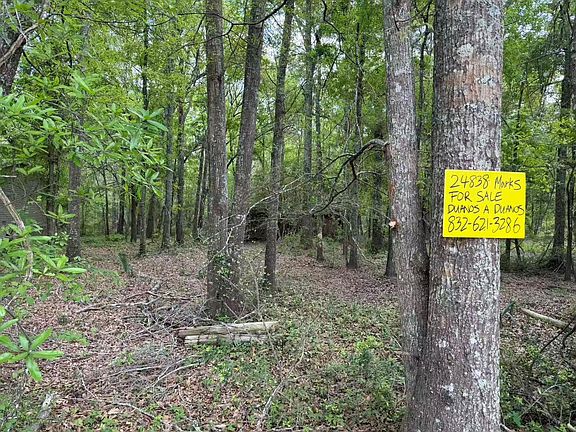 4th image of 24838 Marks Rd