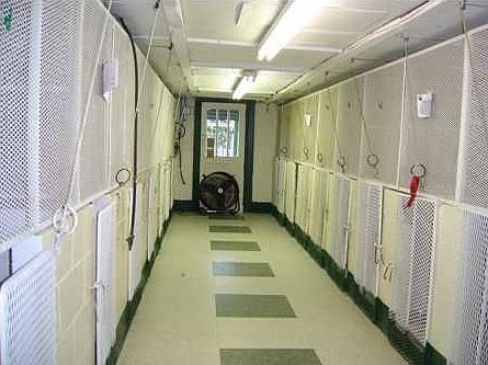 Spotlessly clean inside of Kennel
