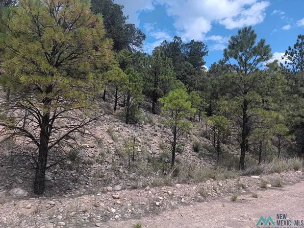 65 Trinidad Ave, Timberon, NM 88350