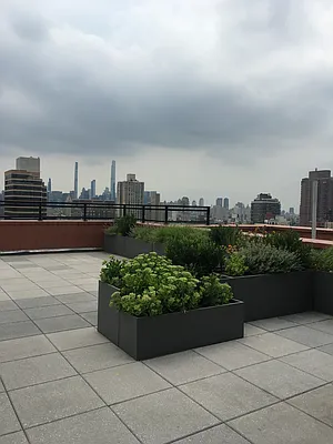 Rented by Douglas Elliman | media 16